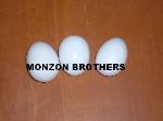 Monzon Brothers