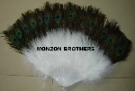 Monzon Brothers